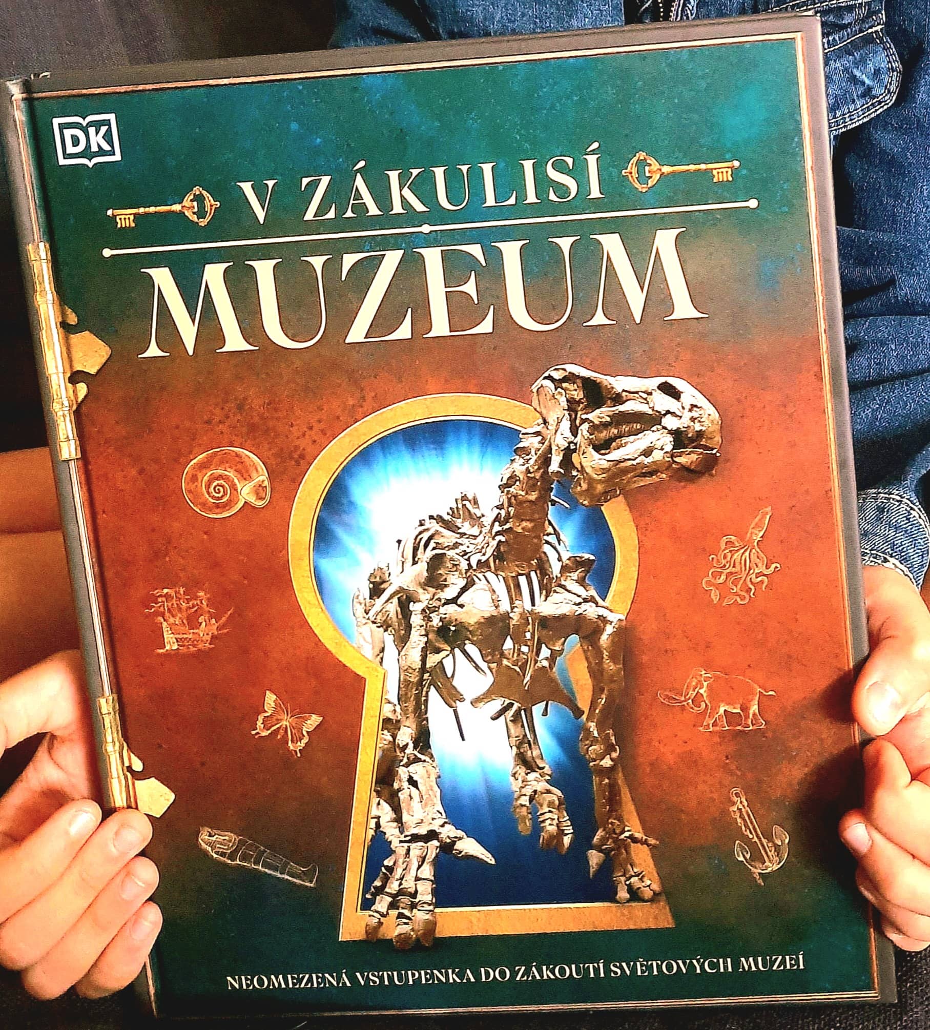 Kolektiv autorů: V zákulisí: Muzeum